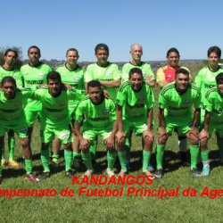 campeonato futebol principal 2013 19